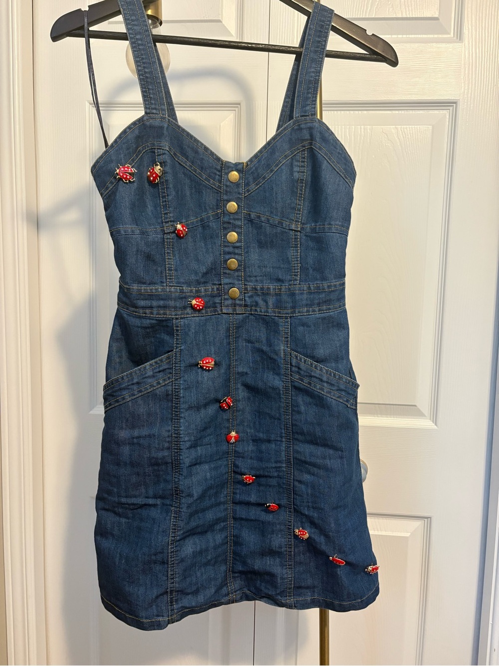 DIY Noah Kahan Bug Dress